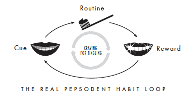 habit_tooth_brushing